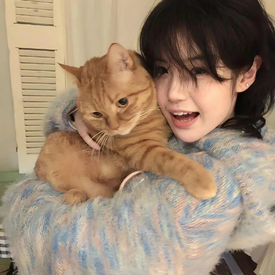 德云社张鹤伦相声专场石家庄站2019